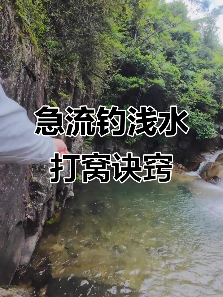 溪流钓浅水技巧:如何精准打窝,捕捉石斑和鲶鱼