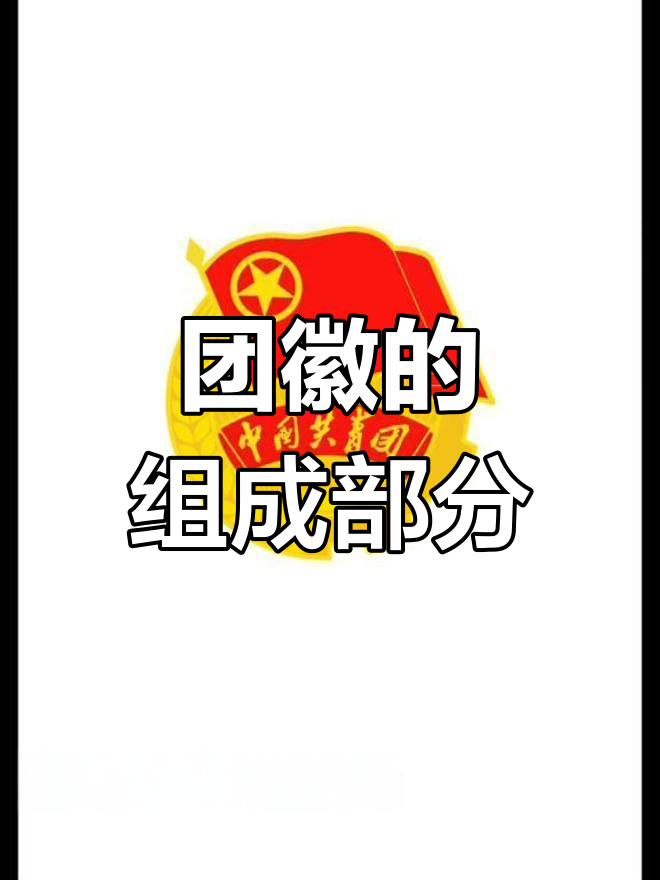 团徽背后的故事:你知道它由哪些部分组成吗?