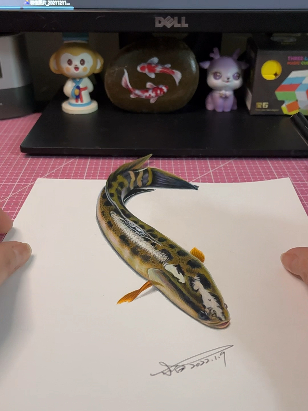 彩铅3D立体画——黑鱼