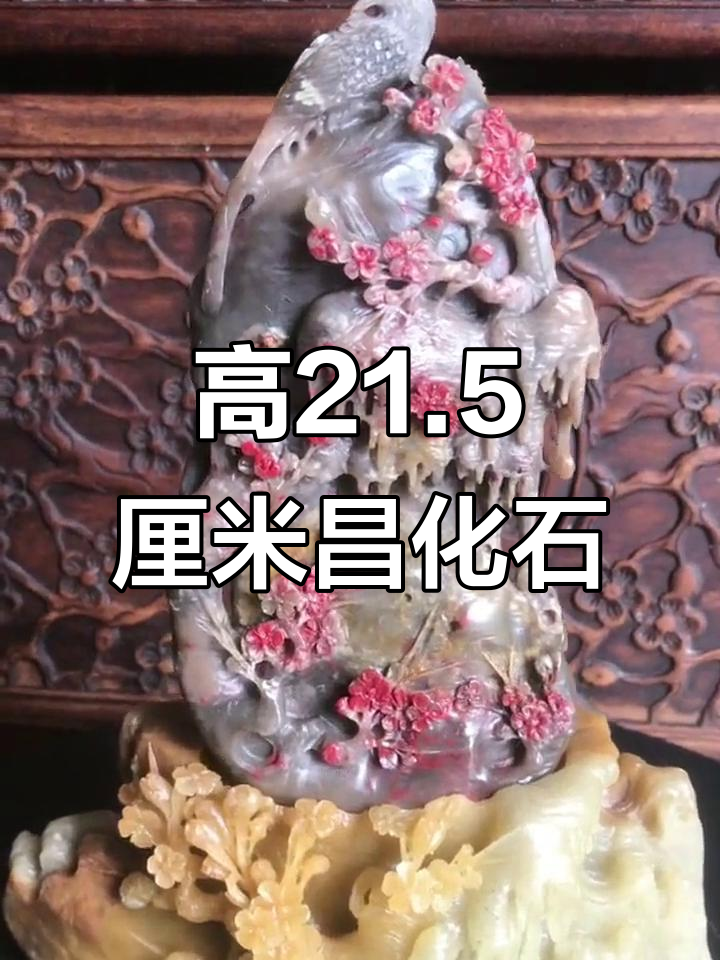 昌化鸡血石牛角冻地摆件,精美收藏品