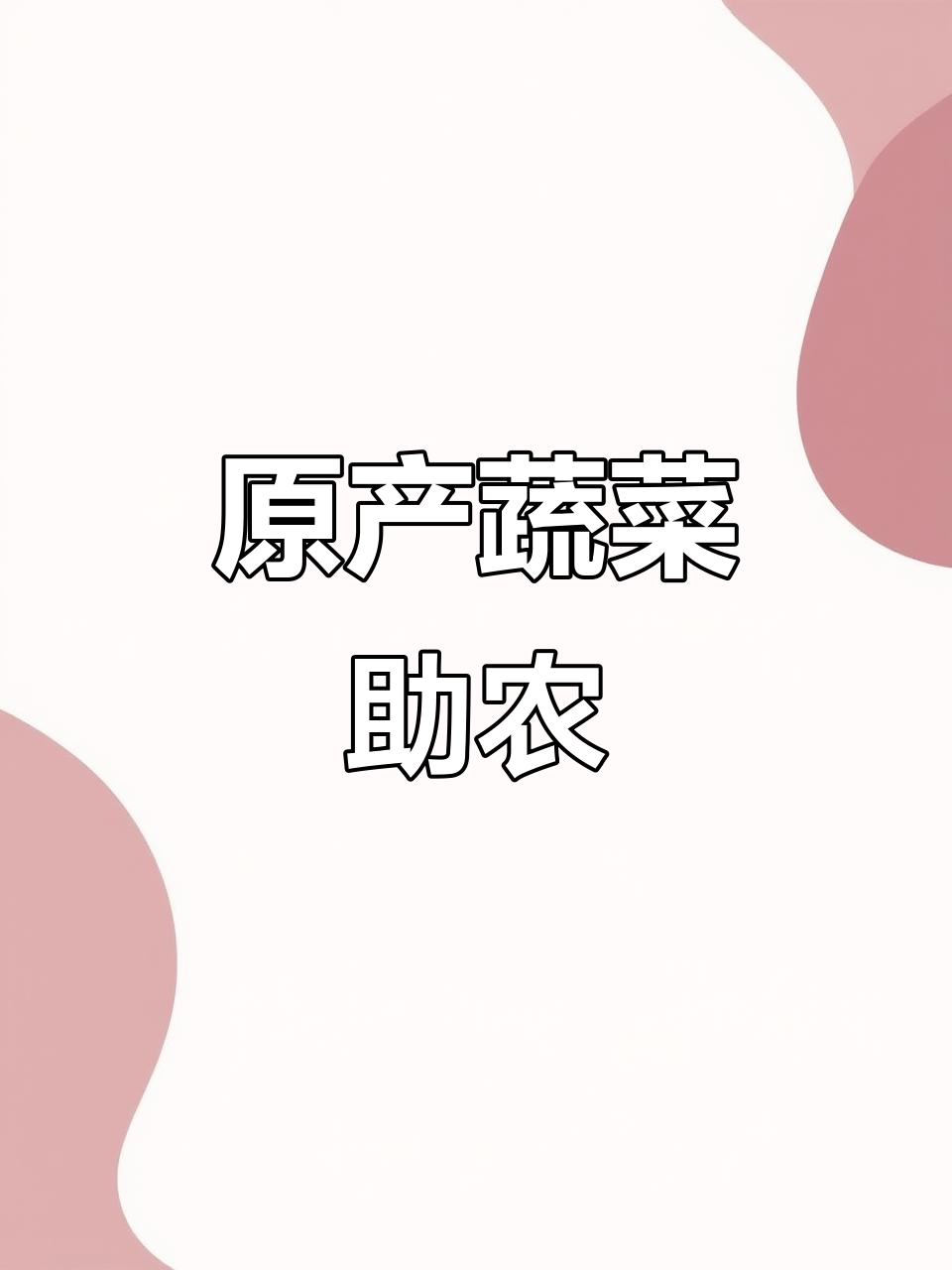 蔬菜原产地直供,助力三农发展