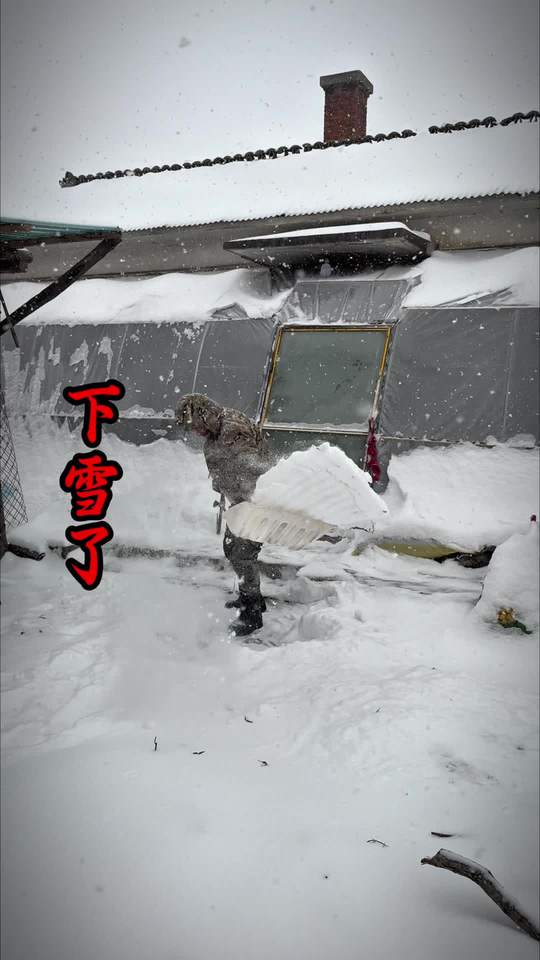 下雪门难推，冻菜利用，冻黄瓜炒鸡蛋超好吃！