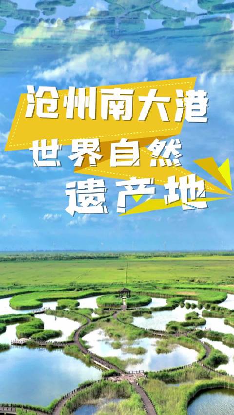 「申遗成功!河北有了首个世界自然遗产」《世界遗产名录》上新啦!当地时间7月26日,在印度首
