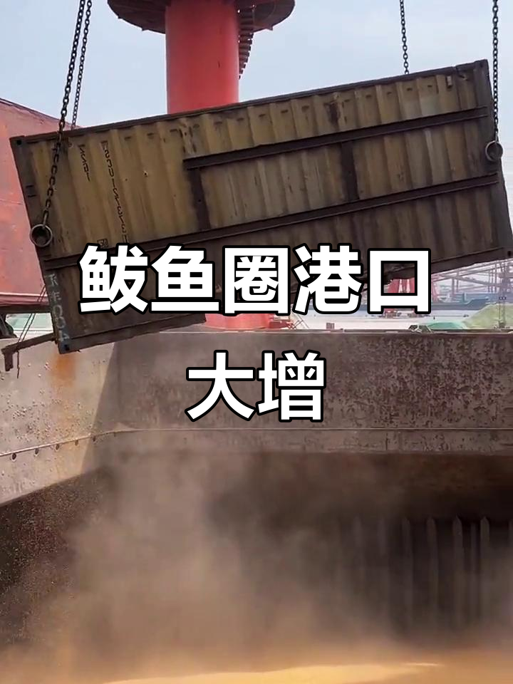鲅鱼圈港口今日预计吞吐量近万吨,主流价格2870元