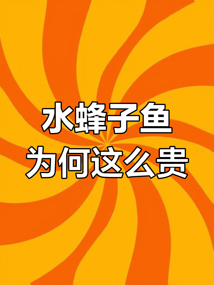 罕见水蜂子鱼,为何价格如此昂贵?