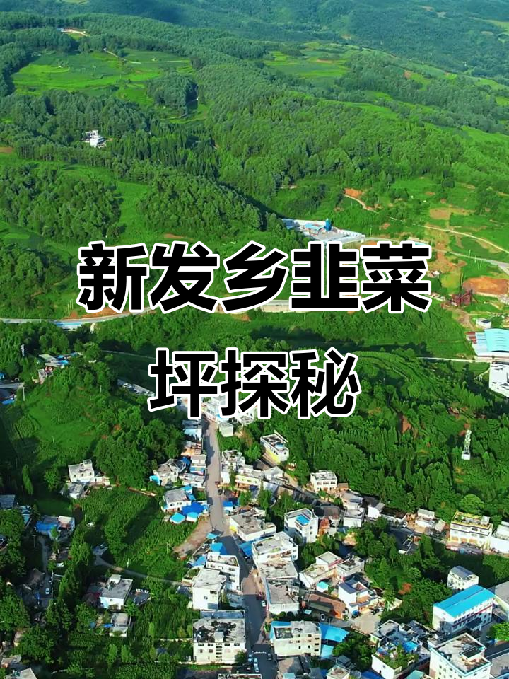 赫章县新发乡：韭菜坪美景与文化之旅