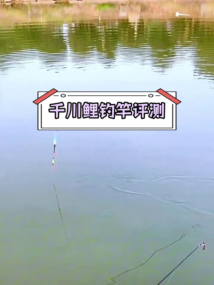 千川鲤攻湖综合竿测试,腰力表现良好