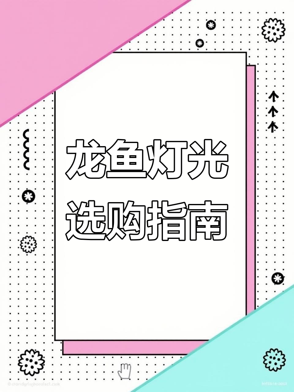 龙鱼灯光选择与摆放技巧,避免钓眼影响健康