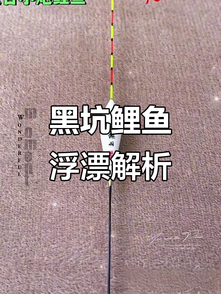 黑坑鲤鱼浮漂技巧大揭秘