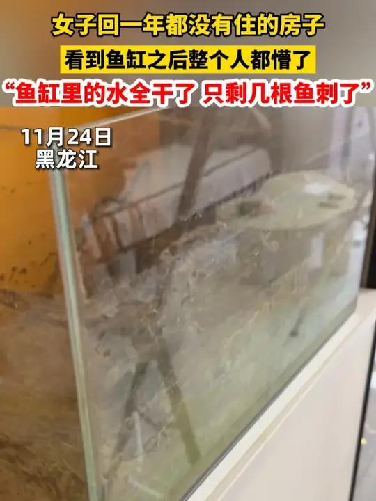 女子回一年都没有住的房子 看到鱼缸之后整个人都懵了 “鱼缸里的水全干了 只剩几根鱼刺了”