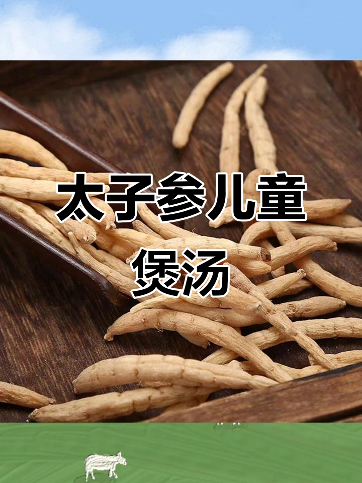 太子参搭配麦冬无花果,儿童健脾汤的绝佳选择