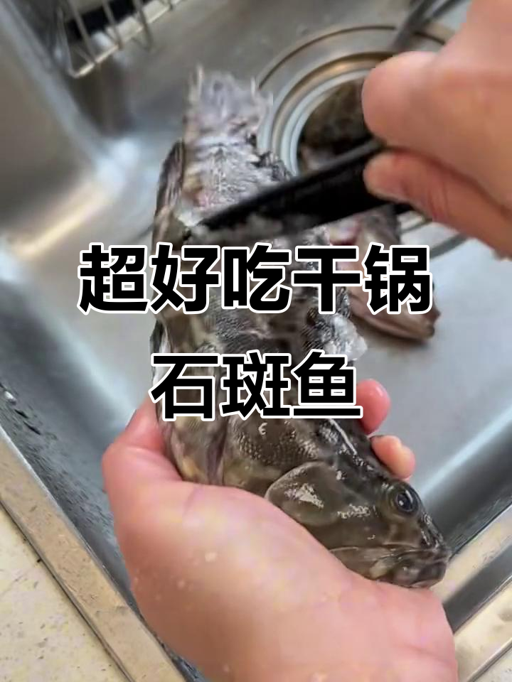 干锅石斑鱼,简单又美味!教你轻松做出超好吃的咸鱼蛋肉
