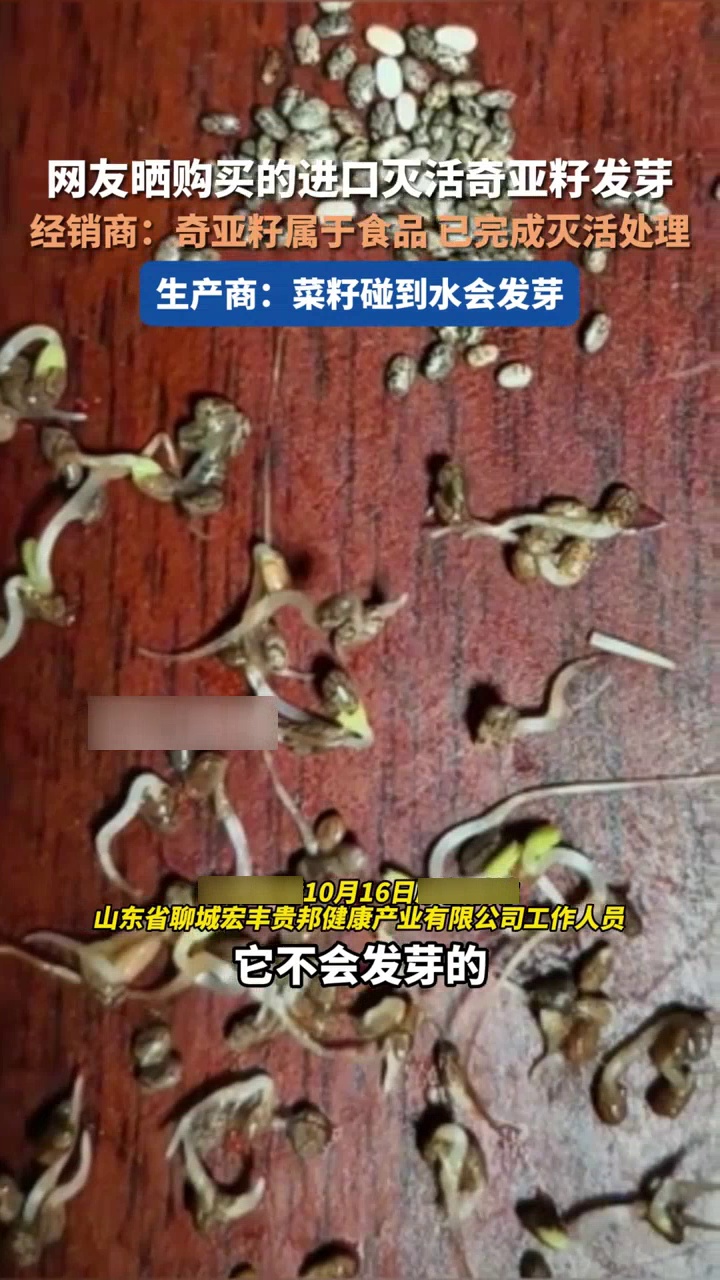 网友晒购买的进口灭活奇亚籽发芽,经销商:没有出现过这种情况