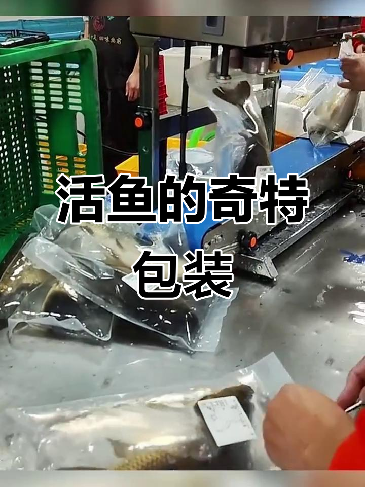 网上买的鲜活鱼竟然是这样打包的，太神奇了！