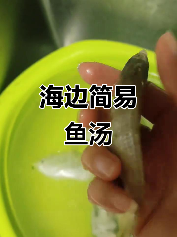 简单食材做出鲜美鱼汤,海边浅海杂鱼的秘密做法