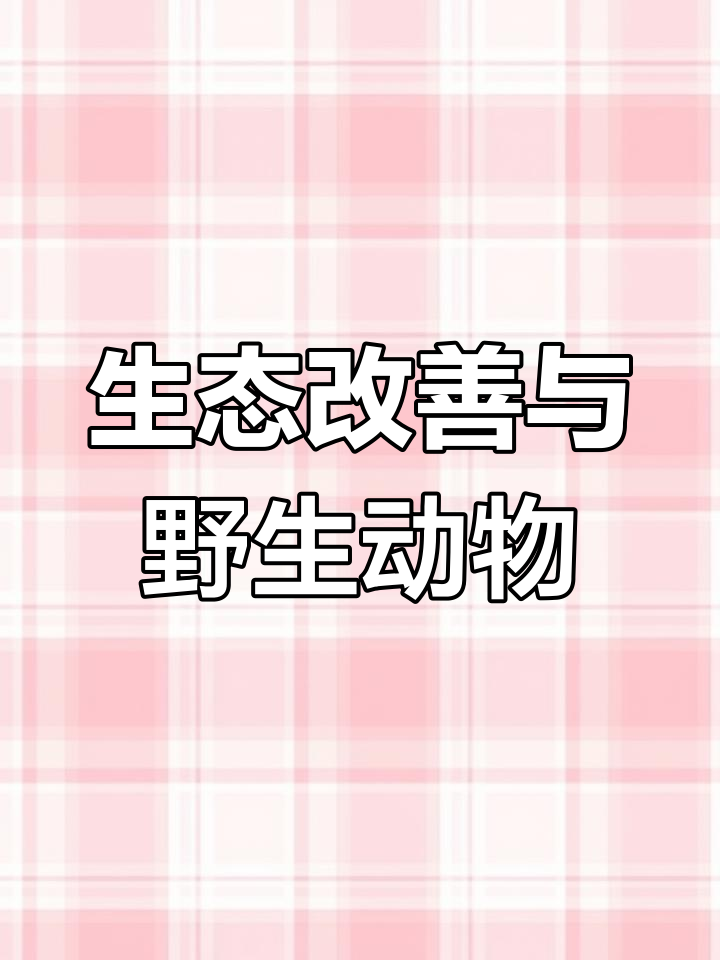 西宁海湖湿地公园的野鸭子