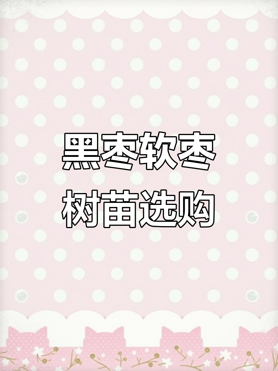 君迁子树苗培育基地,黑枣软枣任你选