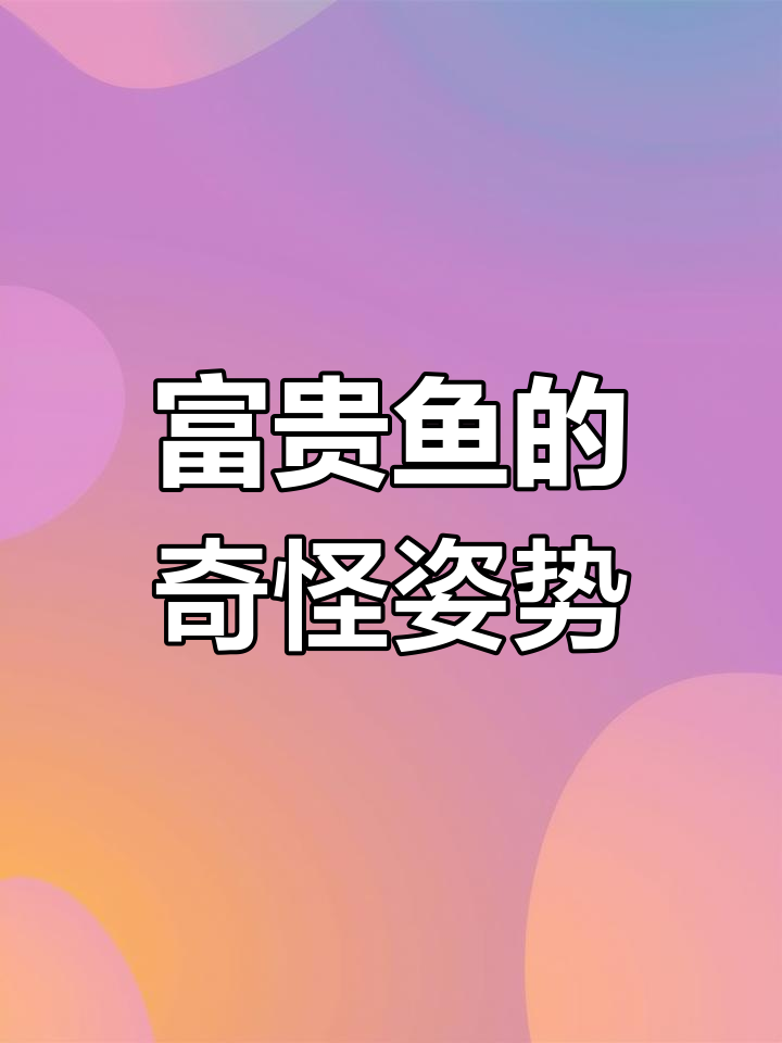 迷你鹦鹉鱼睡姿奇特,担心有问题