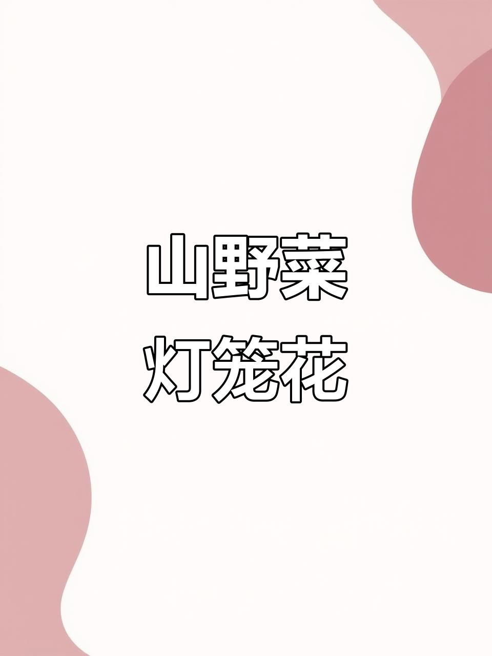 探秘山野菜:灯笼花的美味与独特魅力