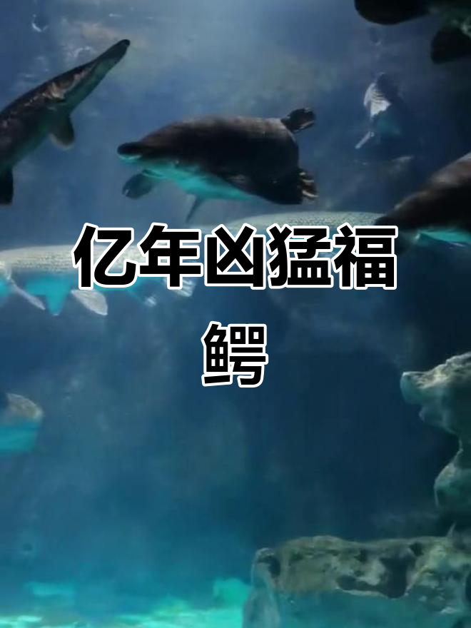福鳄鱼，亿年生存的凶猛独居者，卵含剧毒