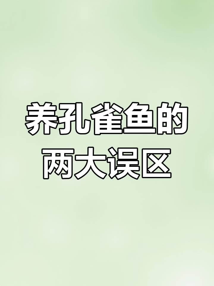 孔雀鱼养不活?这两点你注意了吗
