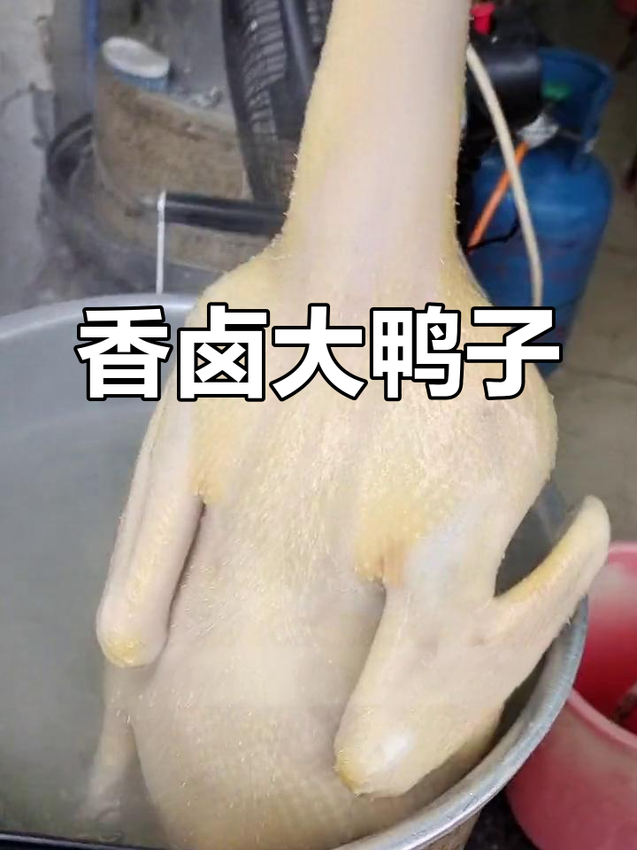 卤水鸭肉,香气扑鼻,口感鲜美不腻