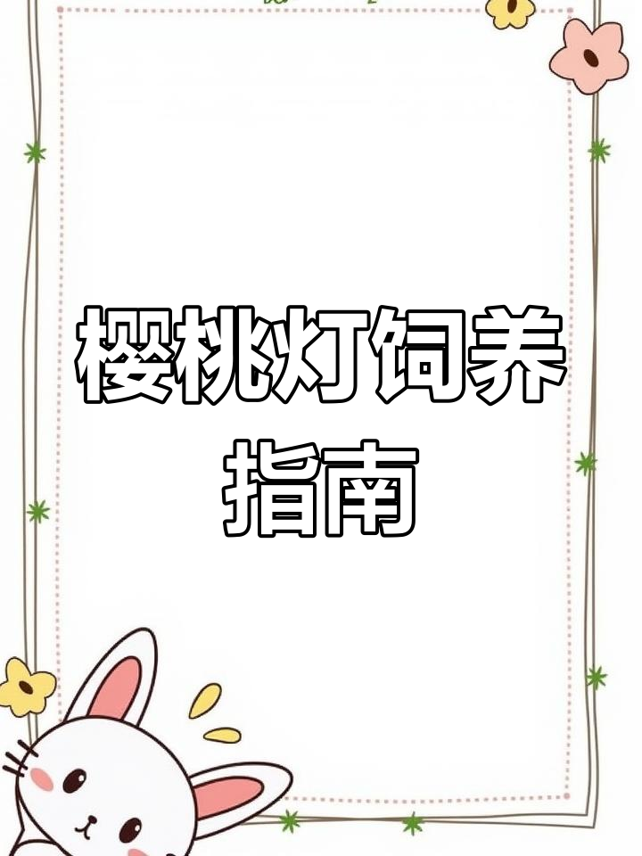 樱桃灯:红色热带观赏鱼介绍