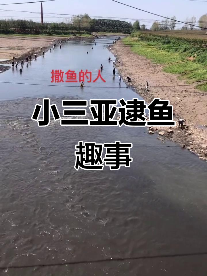 乡下小三亚逮鱼模式,浑水摸鱼的乐趣现场实拍