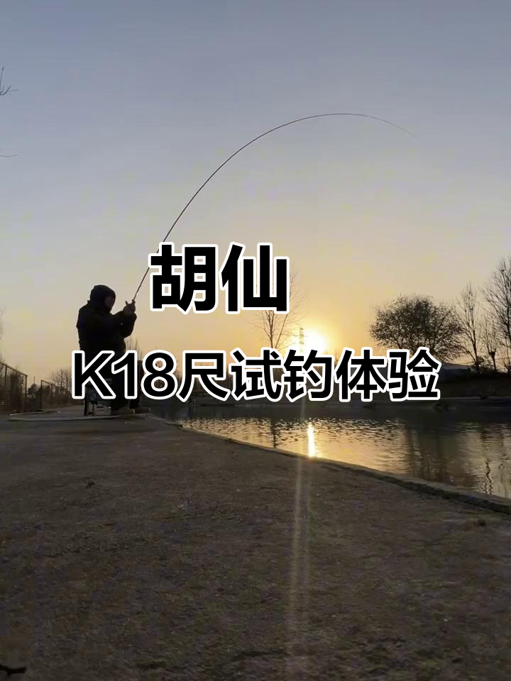 达亿瓦胡仙昇K18尺钓竿评测:流畅腰力与精美涂装