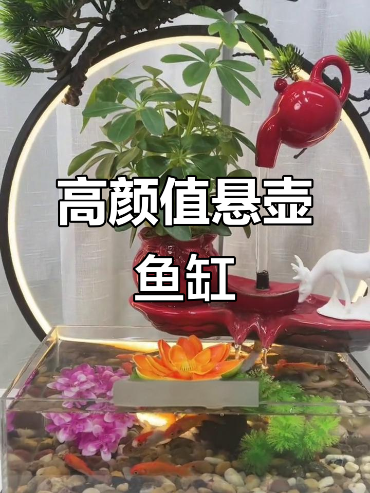 创意悬浮鱼缸,客厅办公室必备美观小摆件