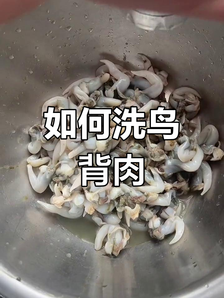 鸟贝肉清洗技巧