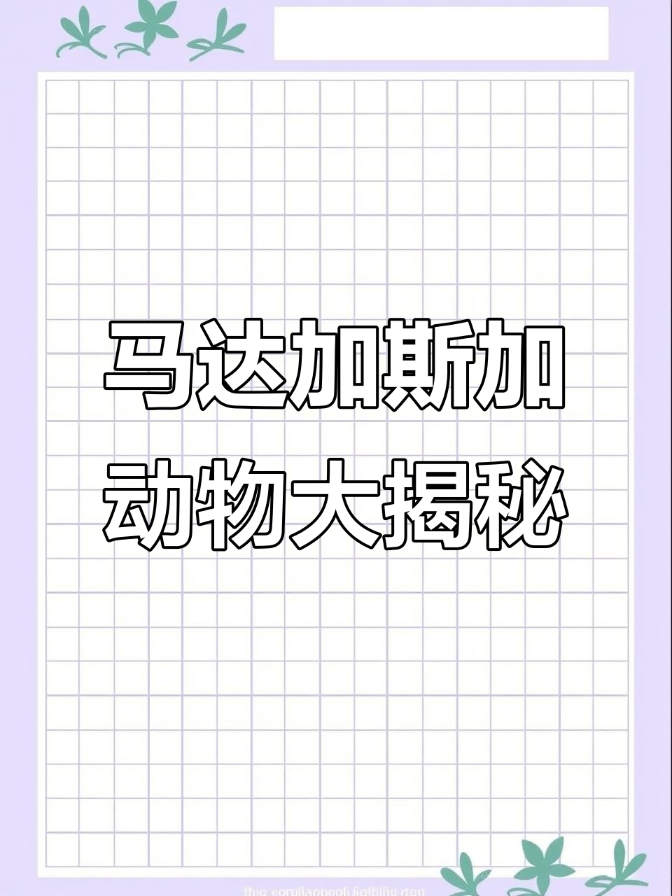 环尾狐猴与海猎系蝗虫的生死时速,马达加斯加的荒漠生存