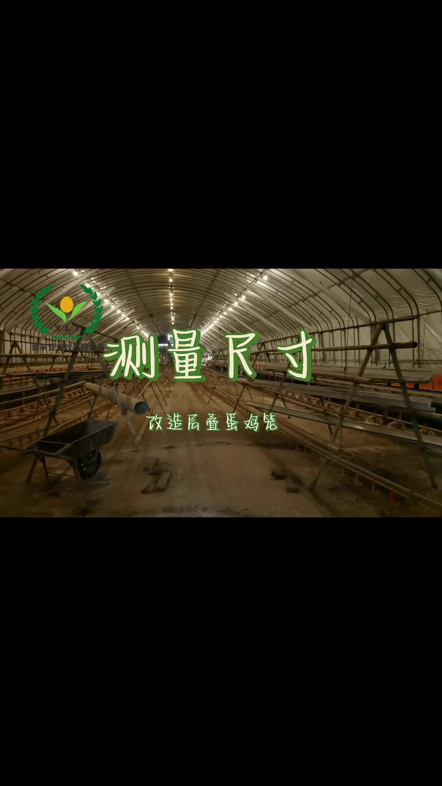 鸡舍测量尺寸,改造层叠蛋鸡笼设备。养殖 三农 鸡笼