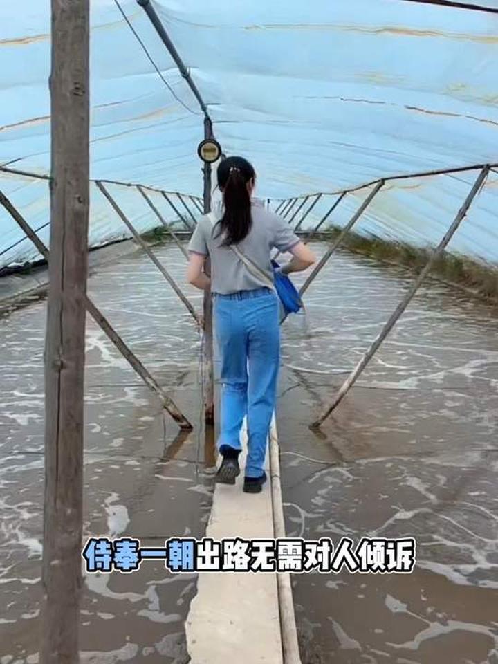 好久没有手工喂料了，养虾人的日常和南美白对虾养殖