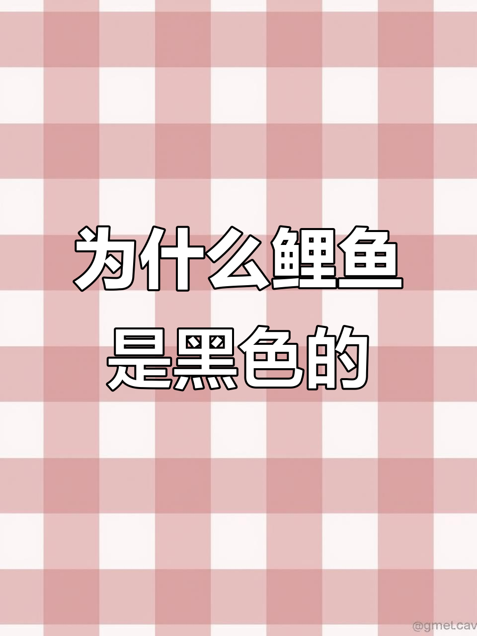 你钓过黑鲤鱼吗?今天这条竟然是这样的颜色!