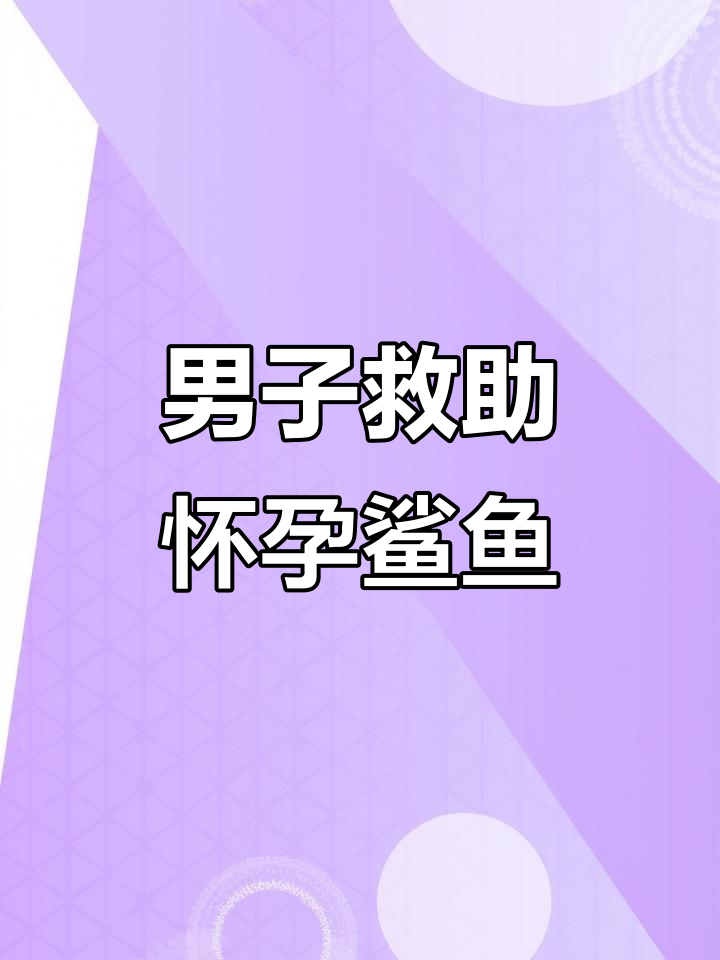 男子出海发现怀孕鲨鱼，亲手接生小鲨鱼并照顾成长