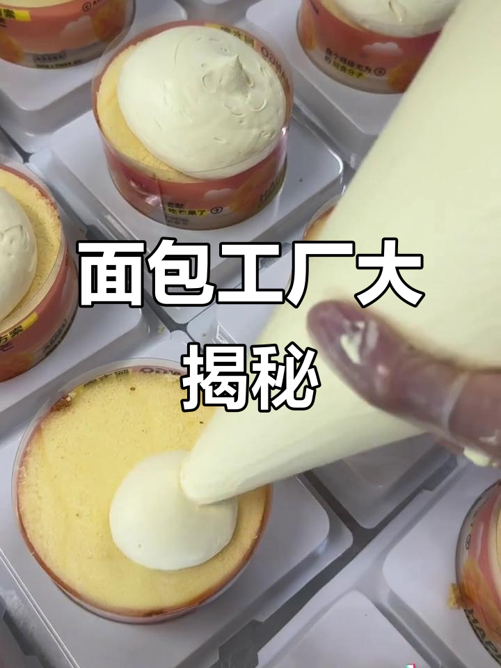 探秘面包工厂,揭晓美味背后的秘密!