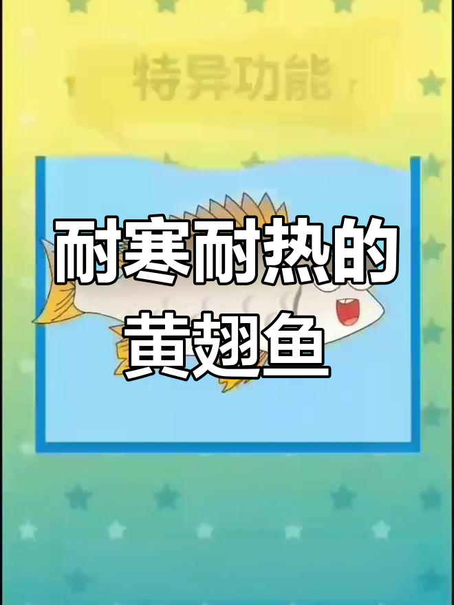 黄翅鱼:适应力超强的海洋生物