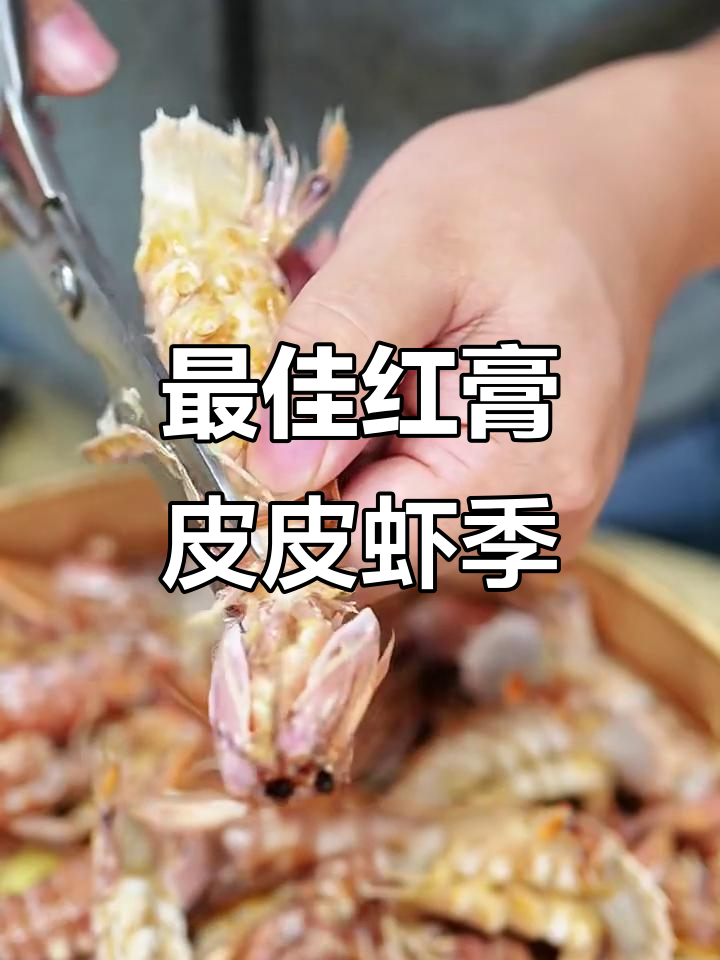 红膏皮皮虾肥美季节,吃货必试!