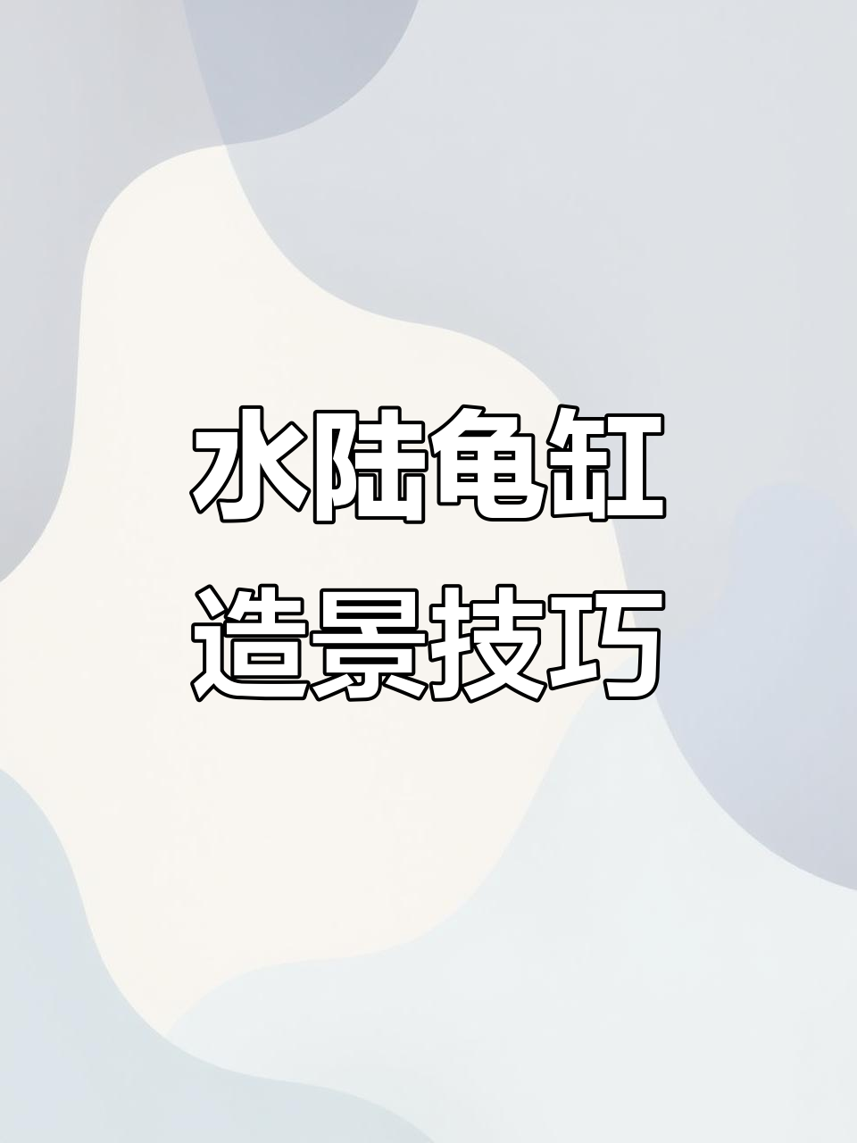 打造生态水陆缸,乌龟与植物和谐共处