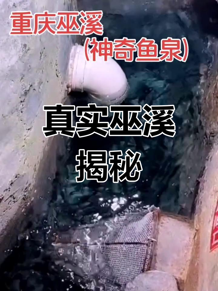 亲自去过,巫溪美景绝非虚构!键盘侠们真是让人无语