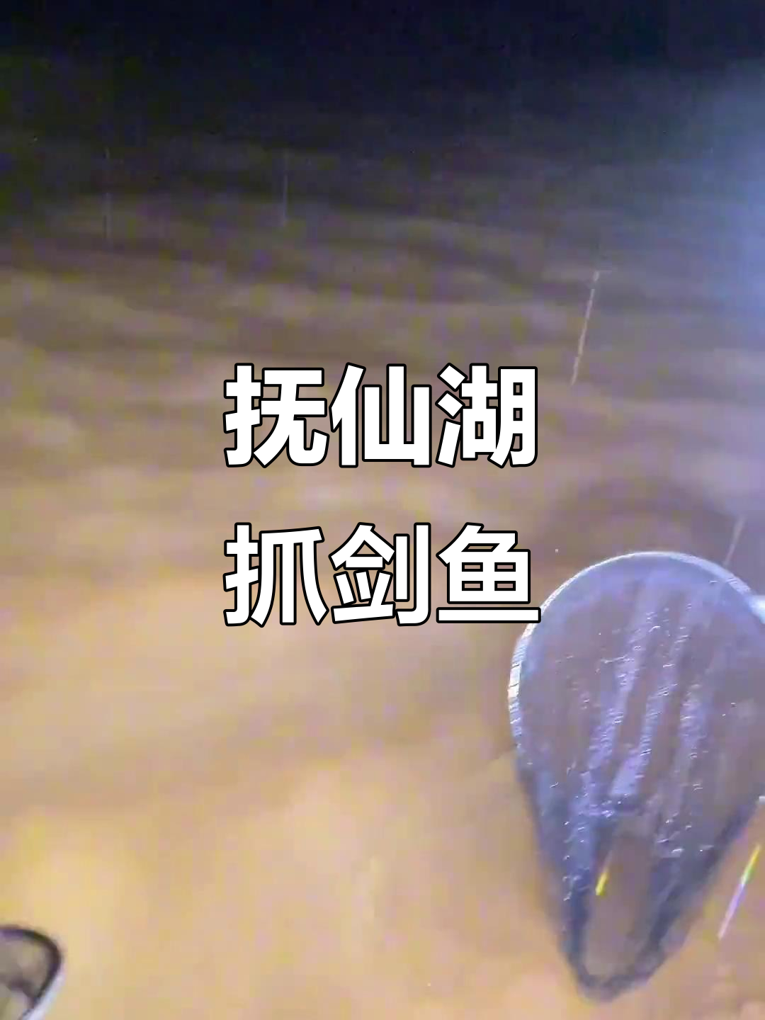 抚仙湖剑鱼大捕捞,带你一起电孔网兜拿货