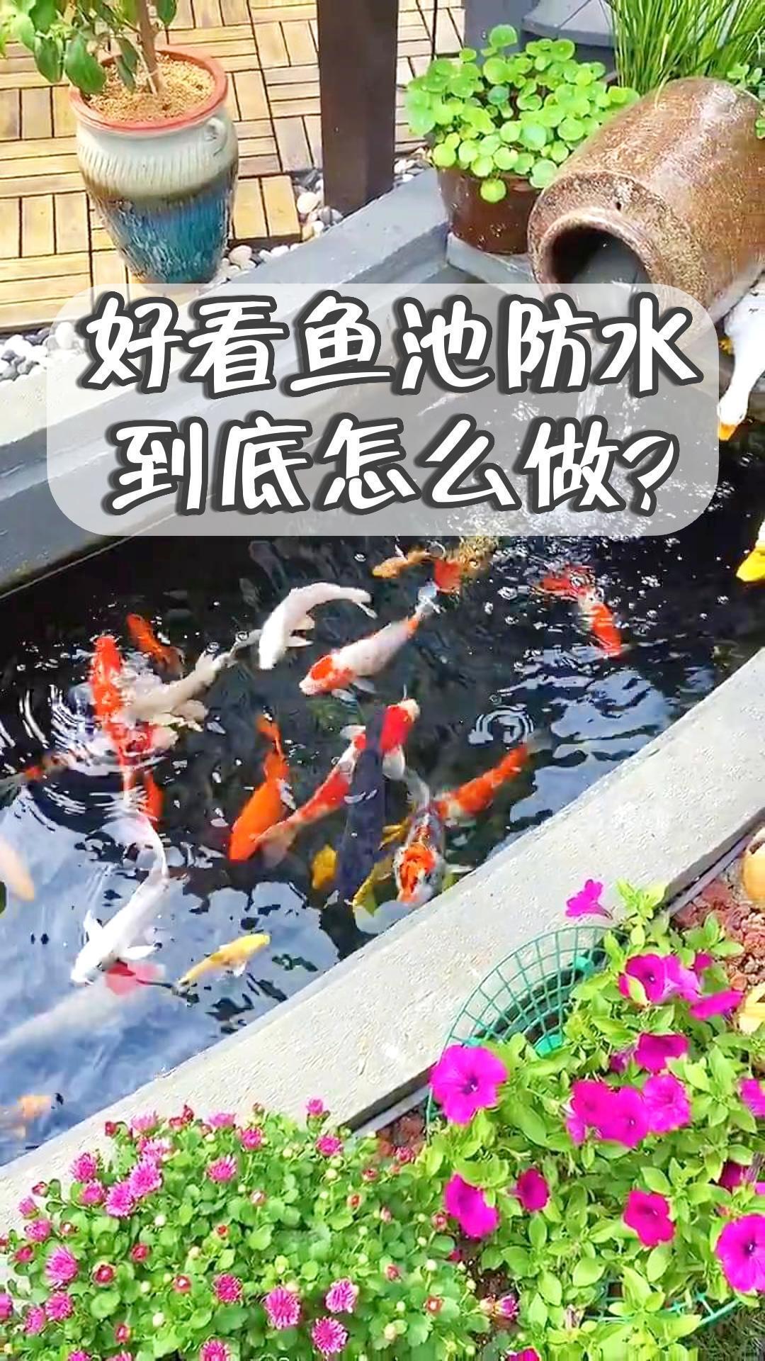 好看鱼池防水到底怎么做?