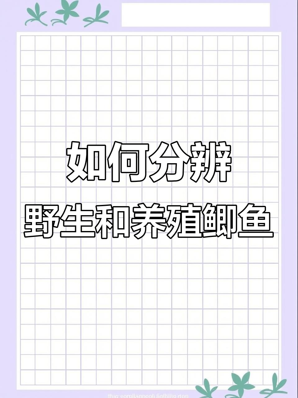 野生鲫鱼与人工养殖的区别,如何辨别真伪