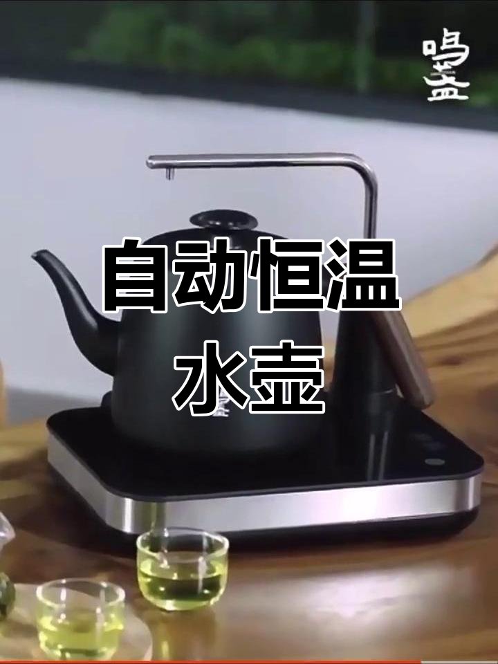 鸣盏MZ-035全自动恒温煮茶壶