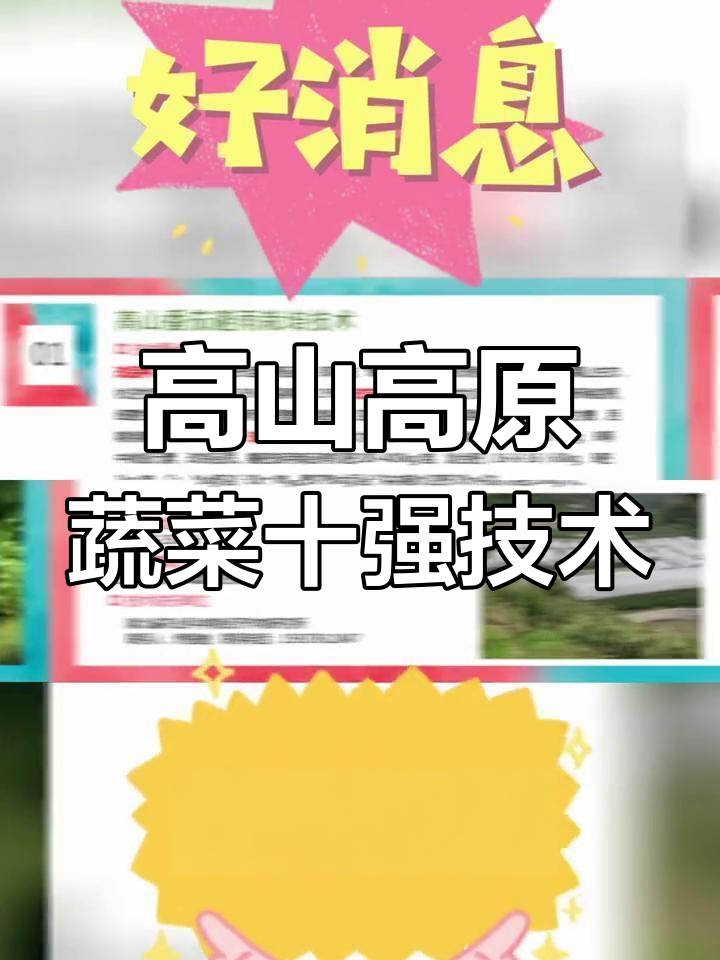 2021年高山高原蔬菜十大主推技术,助力产业升级