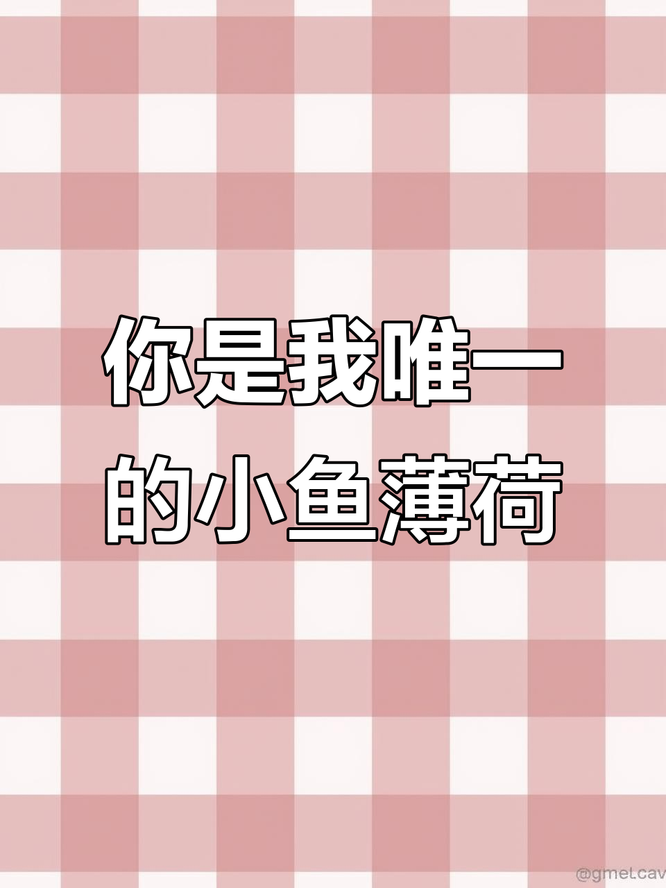 你是我唯一的小鱼薄荷,无法替代的存在