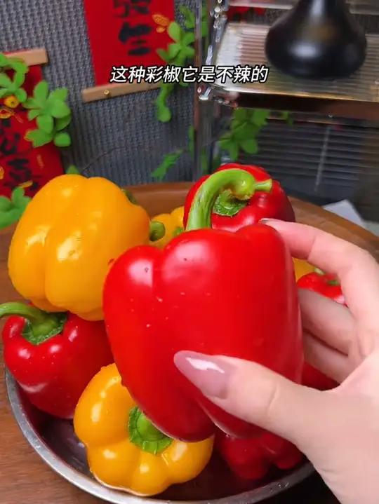 挑战现在开始 五彩水果椒加鸡蛋!口口爆汁!脆甜多汁的 水果辣椒满满的维c比水果好吃还营养!