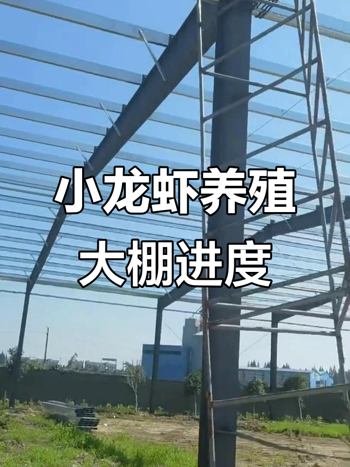 楚梅兰小龙虾养殖大棚进展,地面清理工作完成