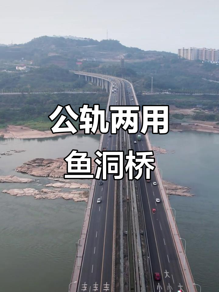 重庆鱼洞长江大桥:公轨同层过江,设计施工集大成